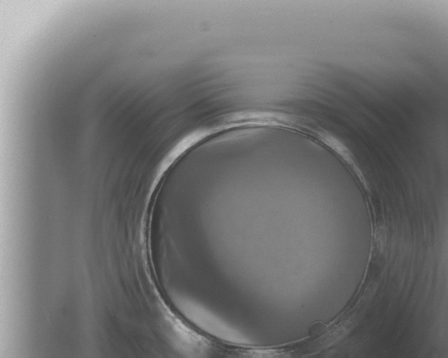 X0000080151482200612151817