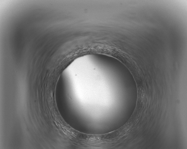 X0000080151489200612151816