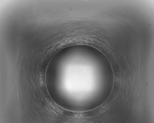 X0000080151490200612151816