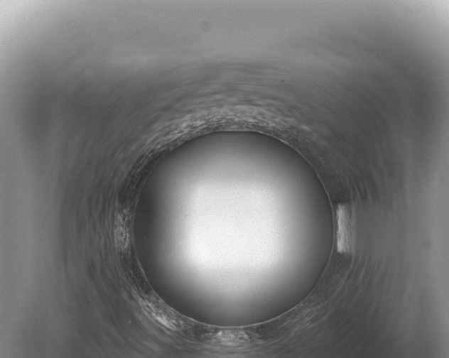 X0000080151491200612151816
