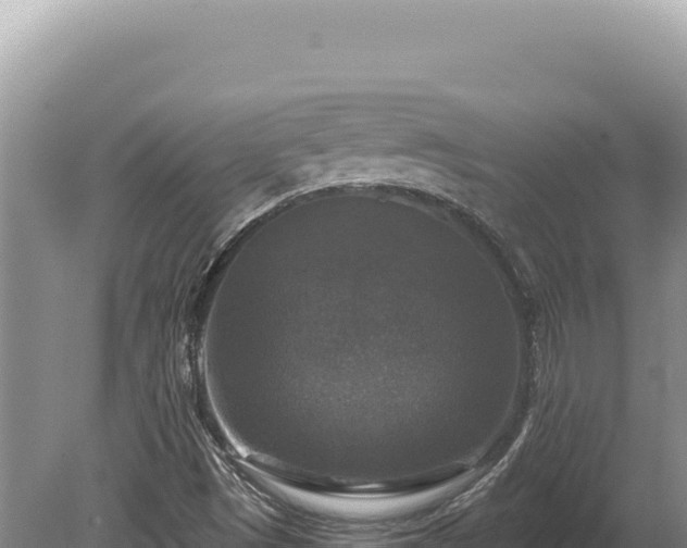 X0000080151497200612151816