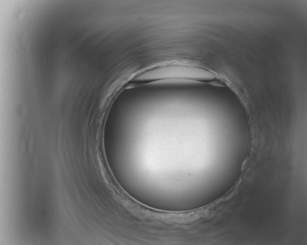 X0000080150001200612222001