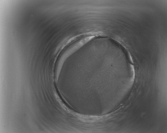 X0000080150002200612222001