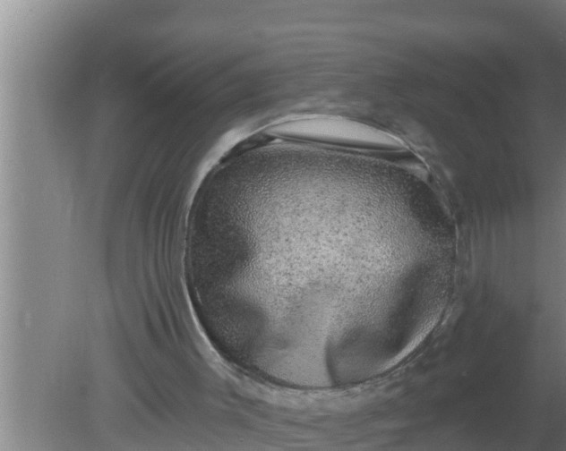 X0000080150003200612222001