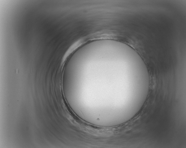 X0000080150004200612222001