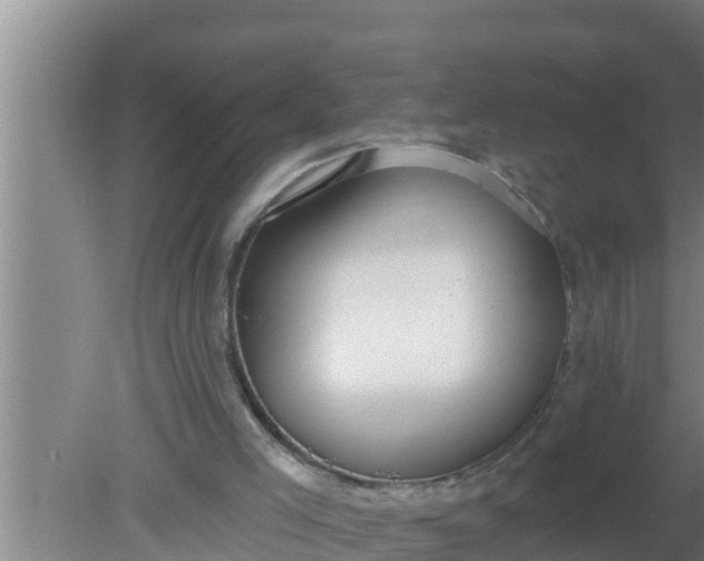 X0000080150005200612222001