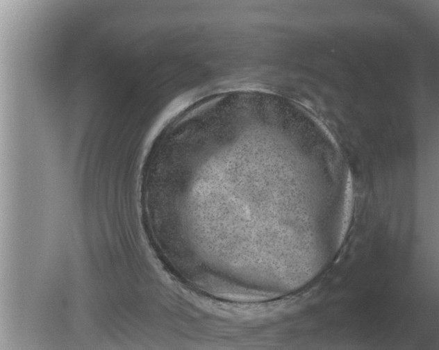 X0000080150006200612222001