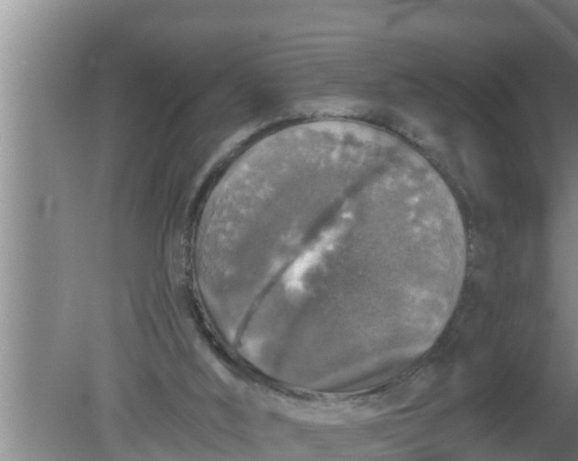 X0000080150012200612222001