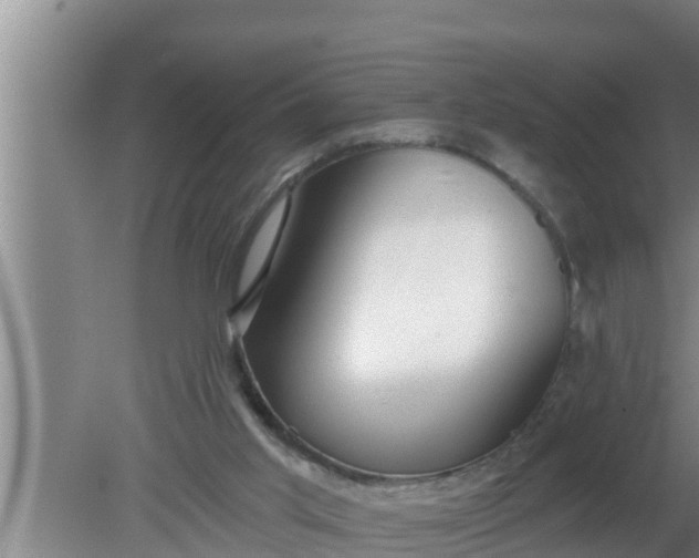 X0000080150013200612222001