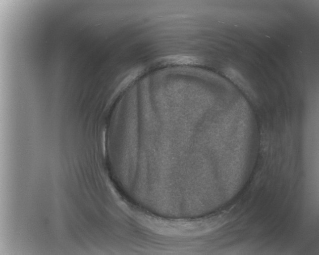 X0000080150014200612222001