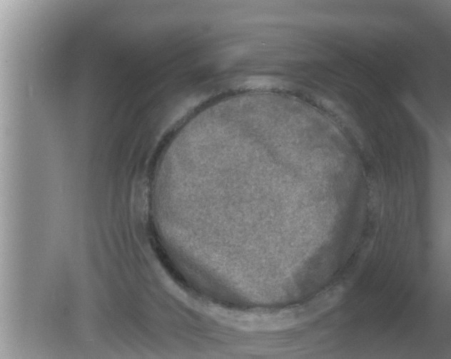 X0000080150016200612222001