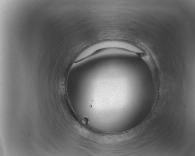 X0000080150017200612222001