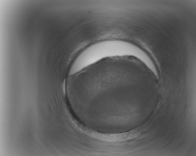 X0000080150019200612222001