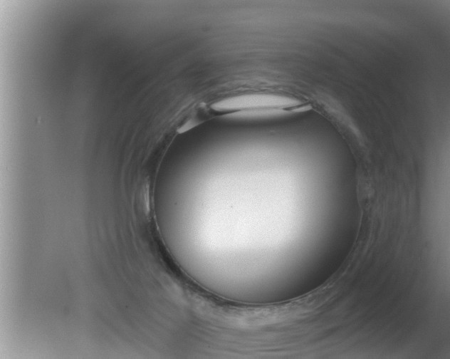 X0000080150021200612222001