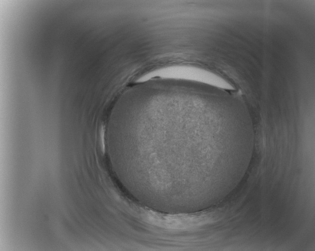 X0000080150022200612222001