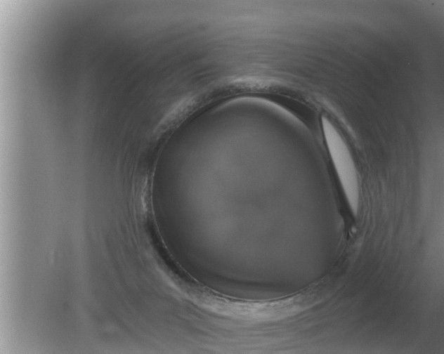 X0000080150023200612222001