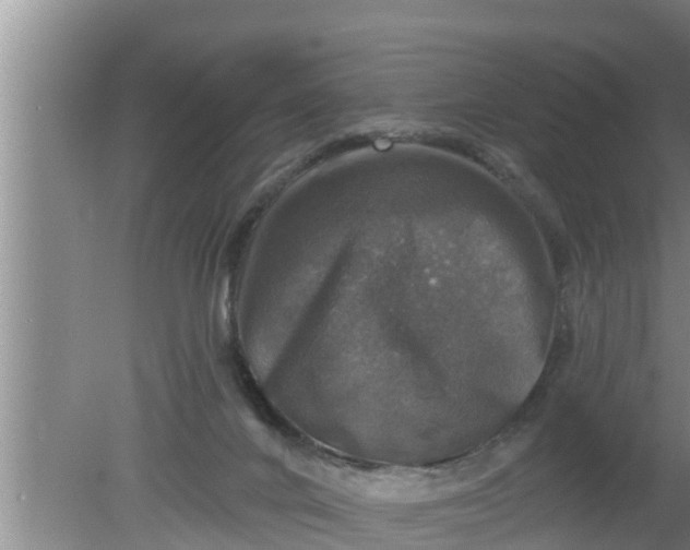 X0000080150024200612222001