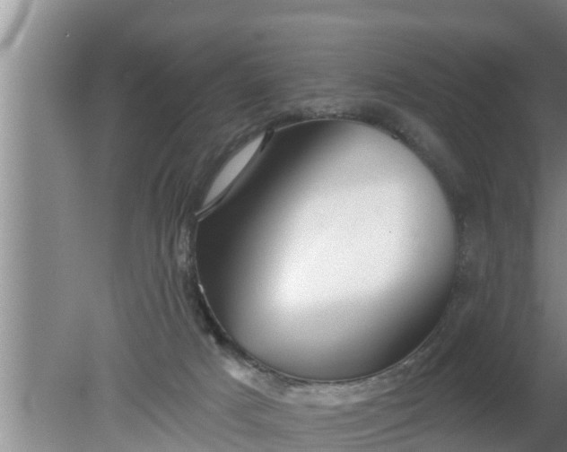 X0000080150025200612222000