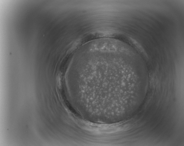 X0000080150026200612222000