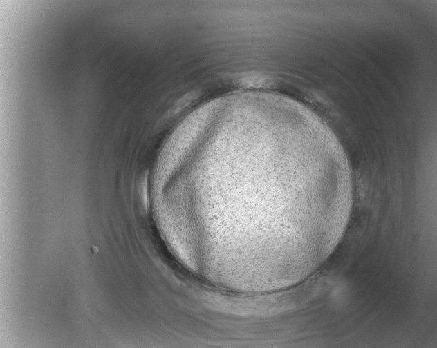 X0000080150028200612222000