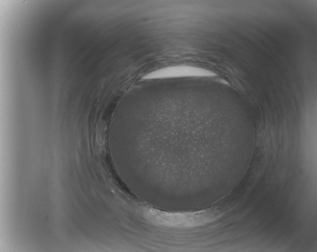 X0000080150030200612222000