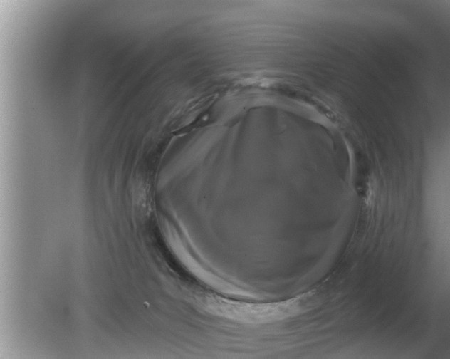 X0000080150031200612222000