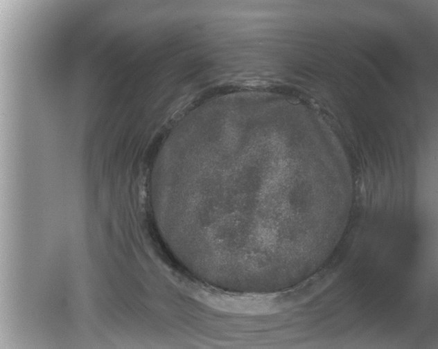 X0000080150032200612222000