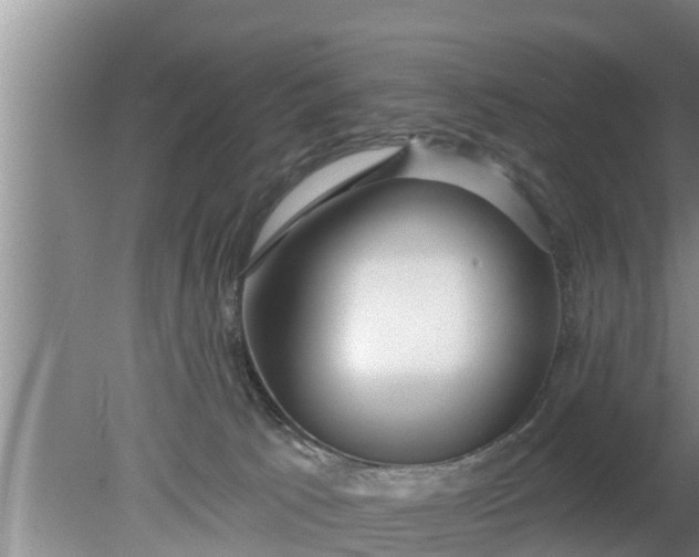 X0000080150033200612222000