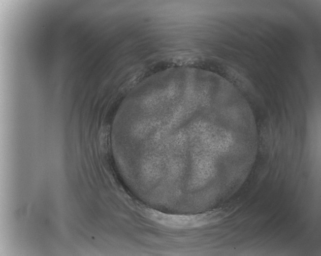 X0000080150034200612222000