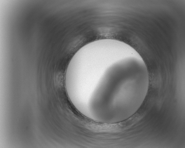 X0000080150036200612222000