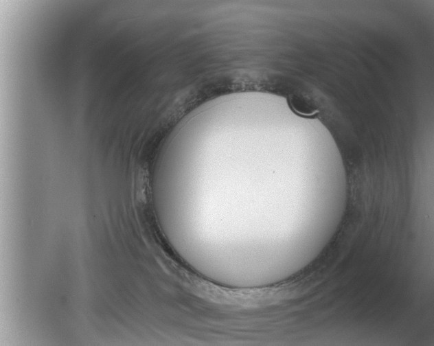 X0000080150038200612222000