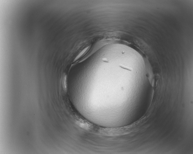 X0000080150041200612222000