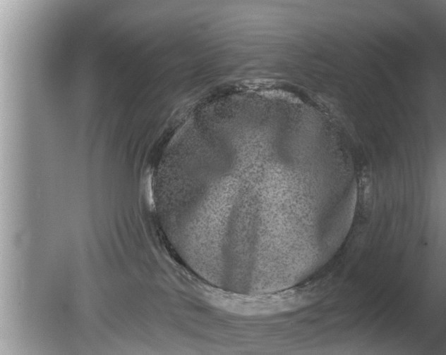 X0000080150042200612222000