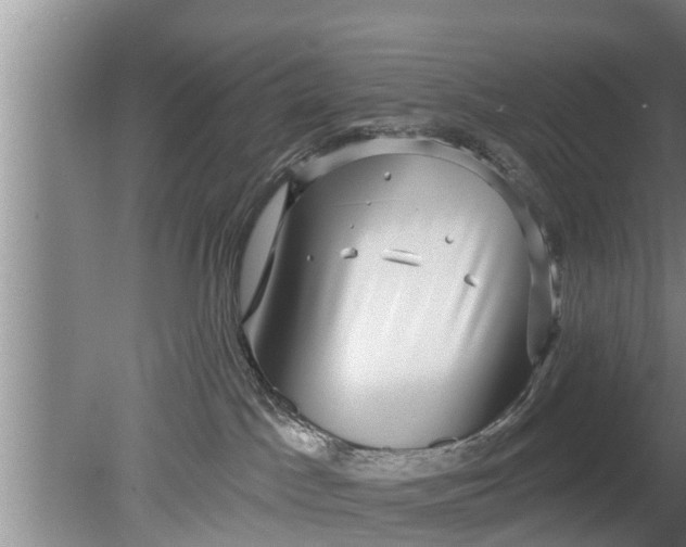 X0000080150045200612222000