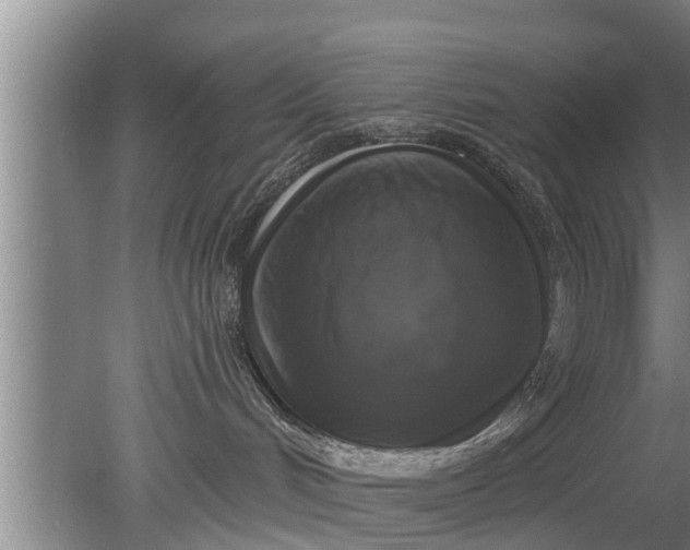 X0000080150048200612222000