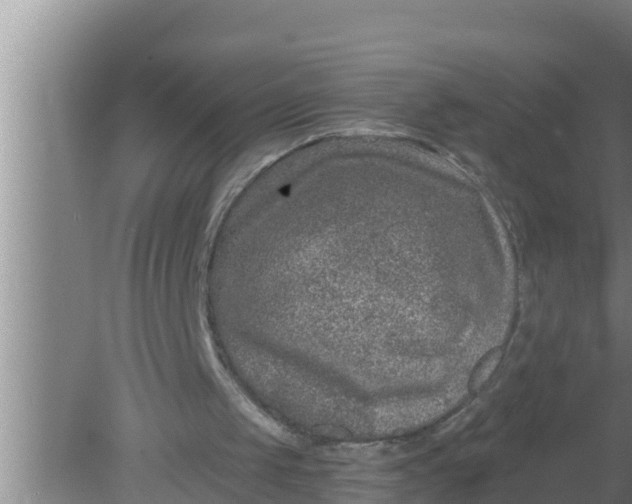 X0000080150049200612221959