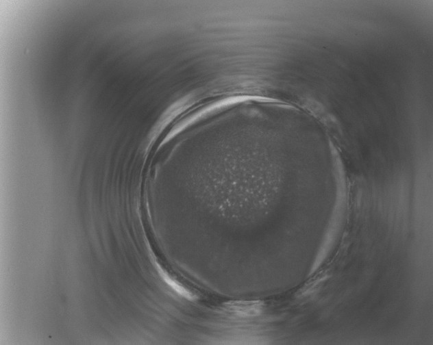 X0000080150051200612221959