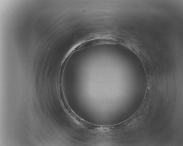 X0000080150052200612221959