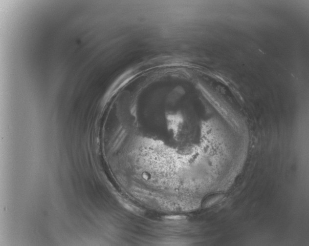 X0000080150053200612221959