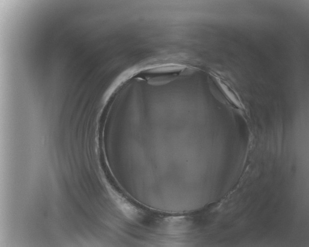 X0000080150054200612221959