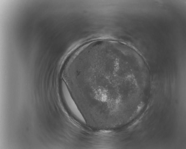 X0000080150055200612221959