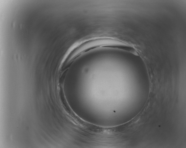 X0000080150056200612221959