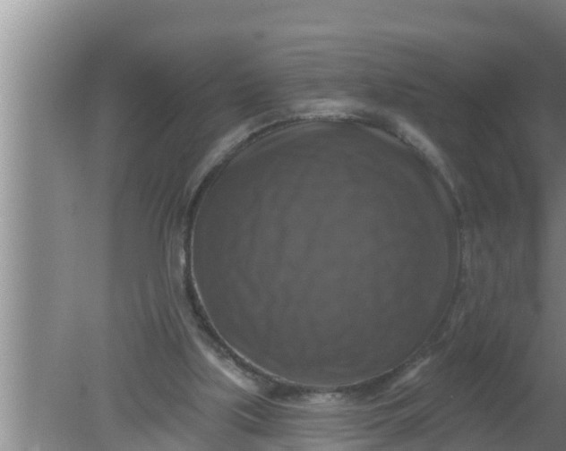 X0000080150059200612221959