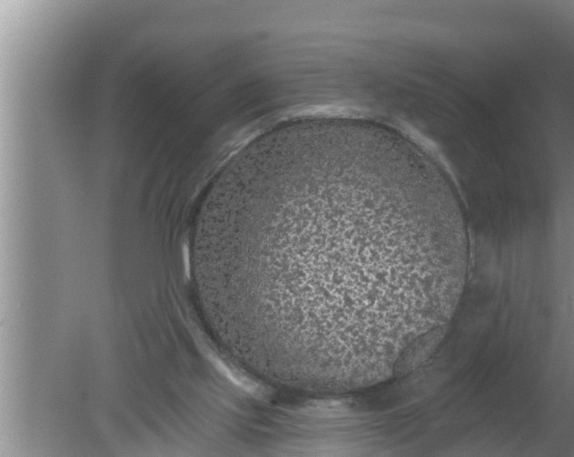 X0000080150061200612222000