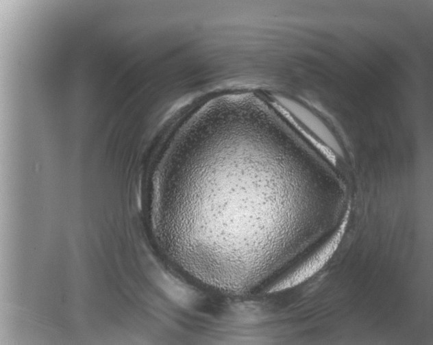 X0000080150062200612222000