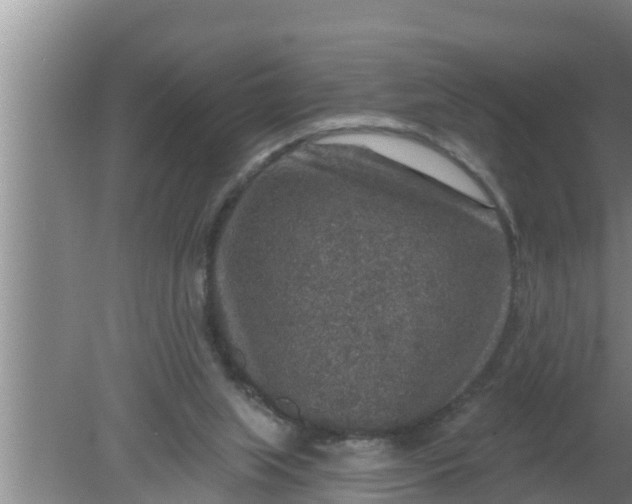 X0000080150063200612222000