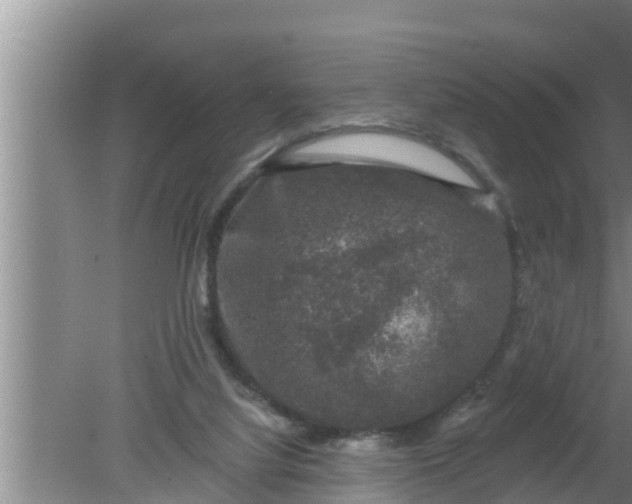 X0000080150068200612222000