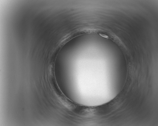 X0000080150071200612222000