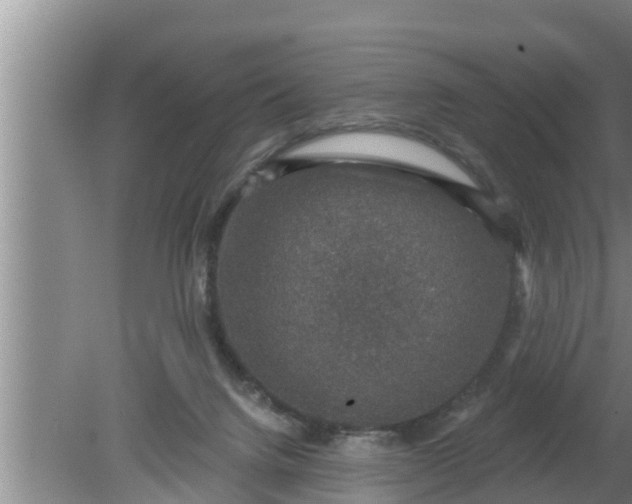 X0000080150072200612222000