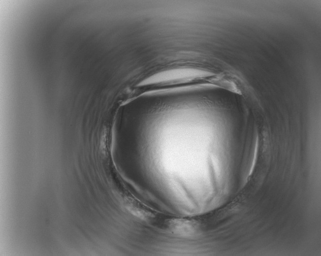 X0000080150073200612222000